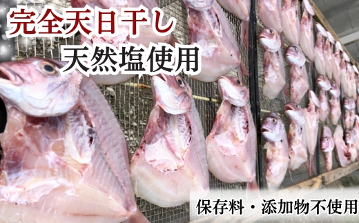 岬だよりの大人気 天然真鯛の干物　中サイズ5枚セット