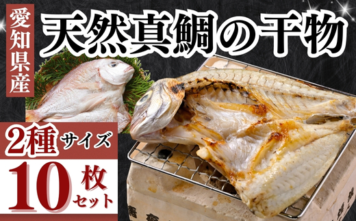 【愛知県南知多町】岬だよりの大人気 天然真鯛の干物 10枚セット