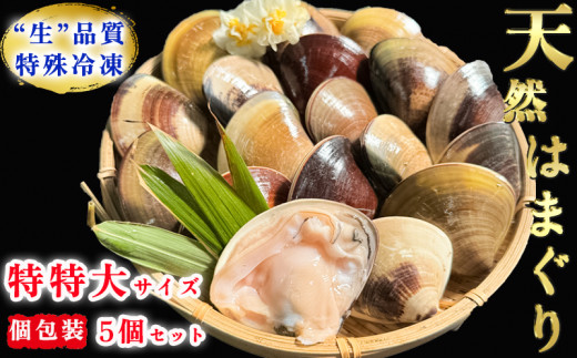 �y���m����m�����z�������́�����嗱!�V�R�͂܂���(������T�C�Y)170g�O��×5����