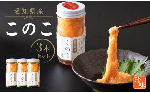 【愛知県南知多町】このこ 240g ( 80g × 3本 ) ナマコ 塩辛 珍味 海の幸 海鮮 魚介 瓶 ご飯 ごはん つまみ おかず 酒 冷凍 愛知県 南知多町 人気 おすすめ 【離島不可】