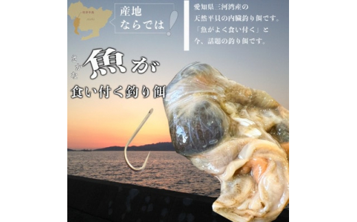 岬だよりの平貝内臓 釣り餌用8袋セット