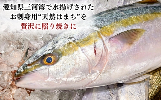 岬だよりの 天然はまちの醤油漬け 10袋セット＜個包装＞