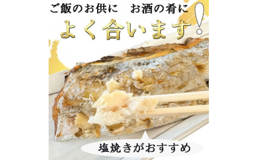 【南知多漁港直送】天然太刀魚 塩焼き用 2切×5袋セット〈下処理済・急速冷凍〉岬だより