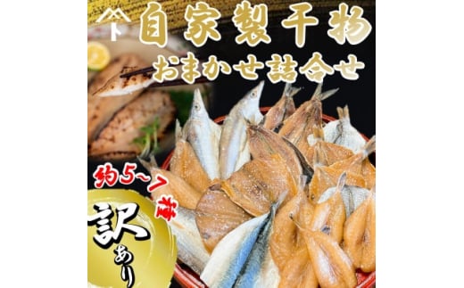 【愛知県南知多町】<訳あり>自家製干物おまかせ詰合せ 約5〜7種