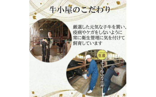 ＜生産直売＞知多牛 響 ミニステーキ 400g (冷凍)柔らか 一番人気