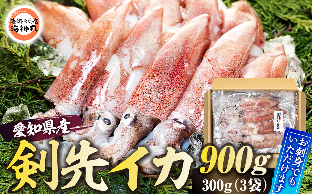 【愛知県南知多町】愛知県産 剣先イカ(アカイカ)3袋
