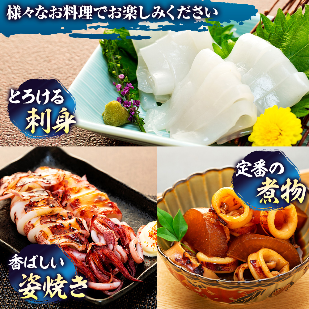 愛知県産　剣先イカ(アカイカ)3袋