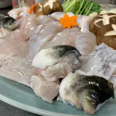 活とらふぐ ちり鍋 セット 2尾 (3～5人前) ＜南知多 料理宿監修＞ ふぐちり 愛知県 南知多町 人気 おすすめ