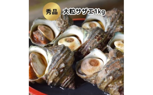 秀品サザエ1kg 刺身・生食可(CAS冷凍で新鮮)大粒約6～10コ