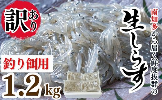 岬だよりの 生しらす釣り餌用 200g×6袋