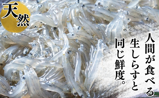 岬だよりの 生しらす釣り餌用 200g×6袋