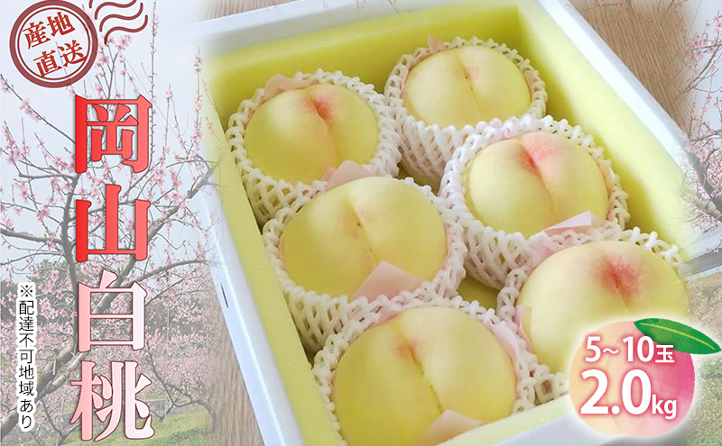 【岡山県里庄町】【桃 2026年 先行予約】ご家庭用 白桃 約2kg(5〜10玉) もも モモ 岡山県 国産 フルーツ 果物