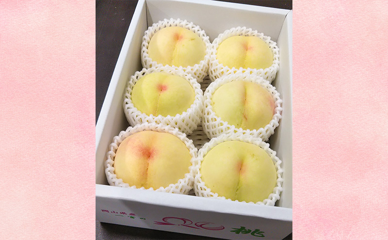 【桃 2026年 先行予約】ご家庭用 白桃 約2kg（5～10玉） もも モモ 岡山県 国産 フルーツ 果物