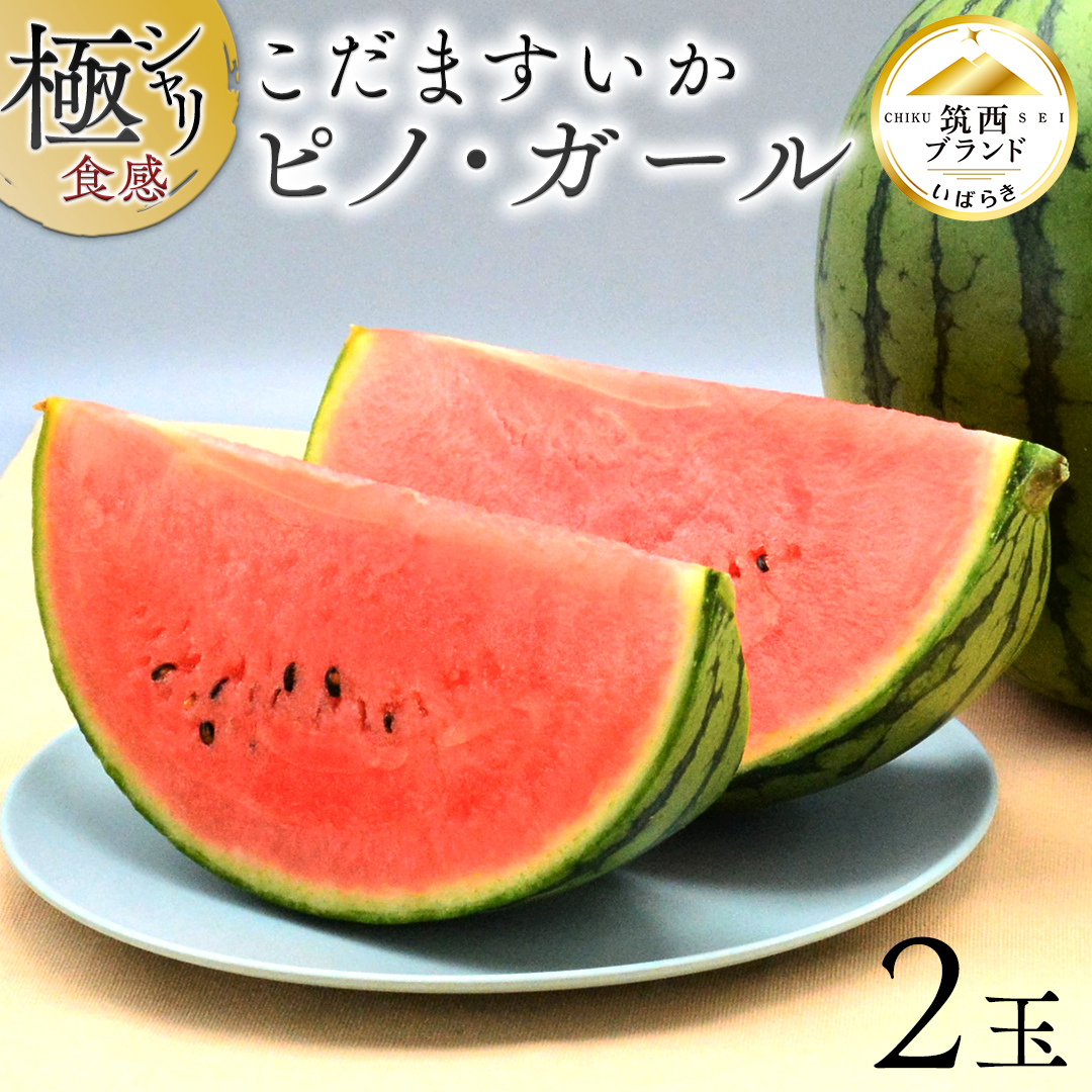 １玉・石川県・みーやん・ピノガール ピノガール2玉【2026年7月中旬～8月中旬発送予定】 - 長野県山形村