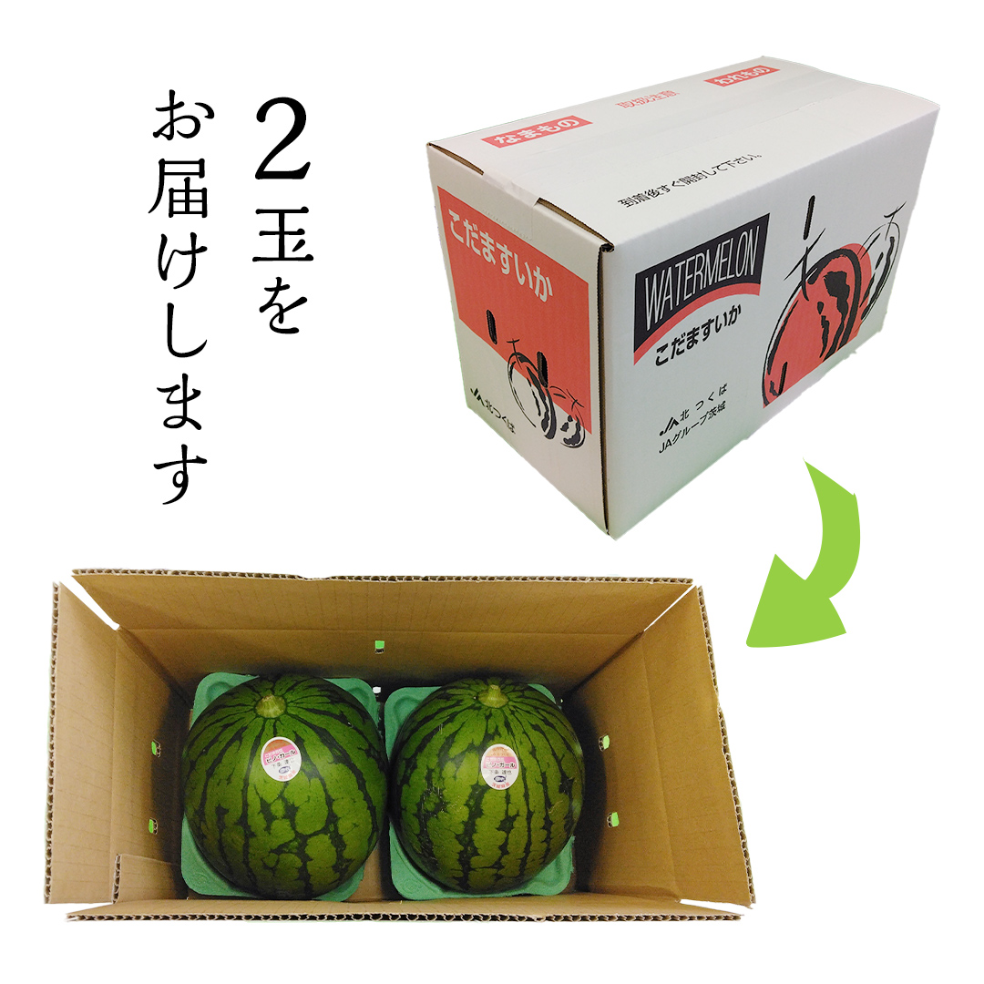 翡翠様用ミニパンダさん90個 翡翠様用ミニパンダさん90個 翡翠様用ミニパンダさん90個