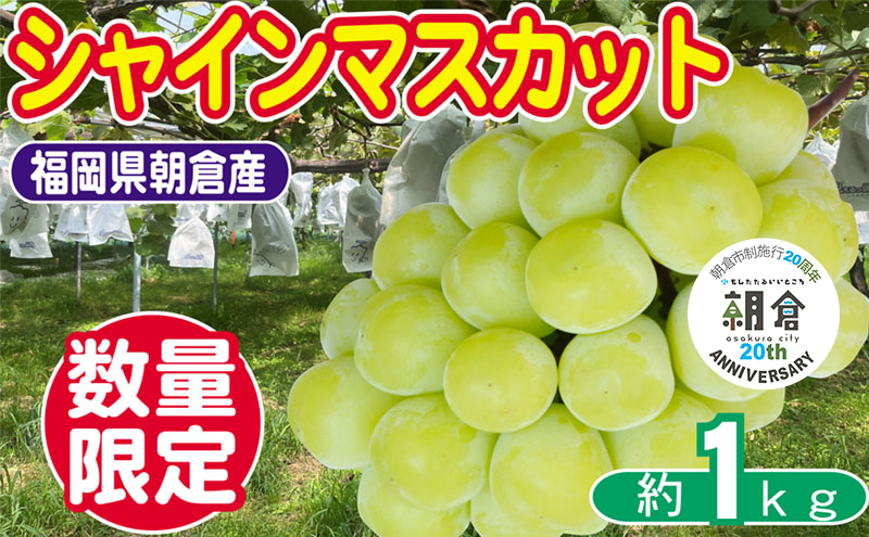 yqszyqs{s20NLOz ʌ VC}XJbg 1`3[ 1kg 䂤ʎ VC }XJbg  zsF