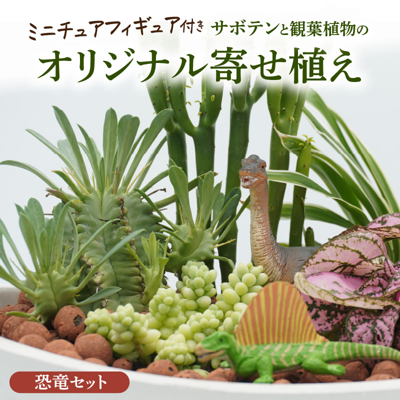 サボテンと観葉植物のオリジナル寄せ植え【恐竜セット】［133O05