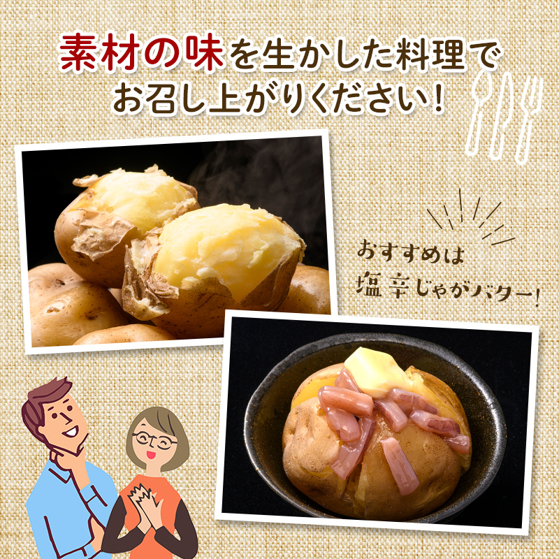 北海道今金町のふるさと納税 【先行予約】北海道今金町産男爵いも 約10kg 【2025年10月下旬以降順次出荷】 北海道産 じゃがいも ジャガイモ だんしゃく 野菜 ほくほく しっとり 常備野菜 F21W-559