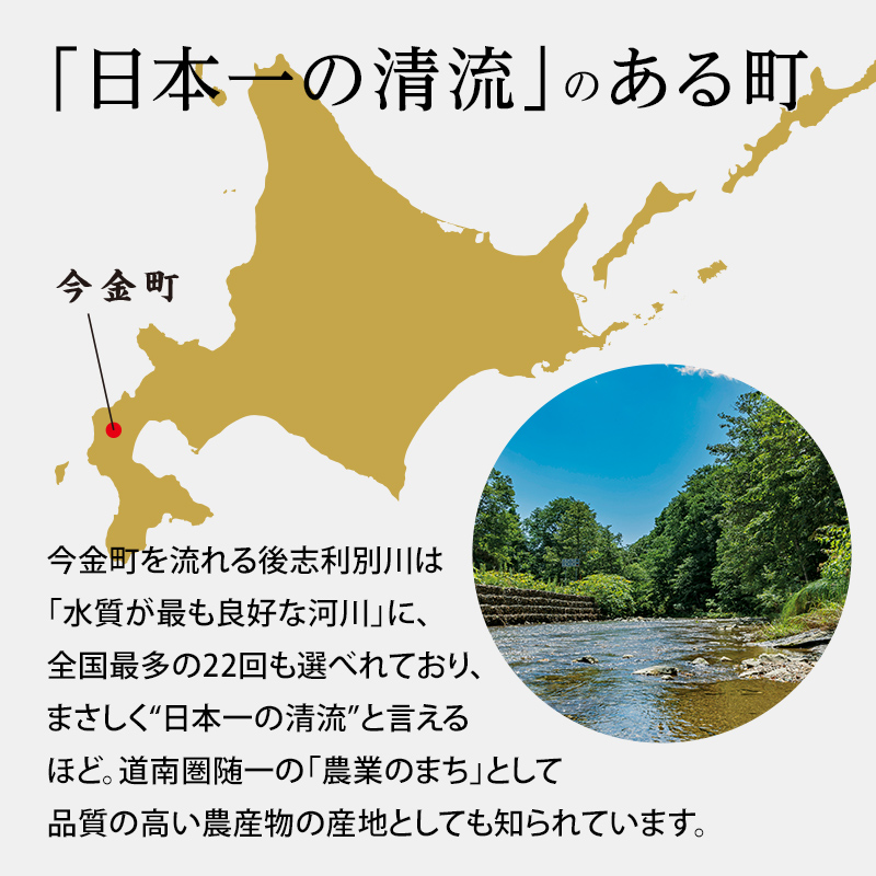 北海道今金町のふるさと納税 【先行予約】北海道今金町産男爵いも 約10kg 【2025年10月下旬以降順次出荷】 北海道産 じゃがいも ジャガイモ だんしゃく 野菜 ほくほく しっとり 常備野菜 F21W-559