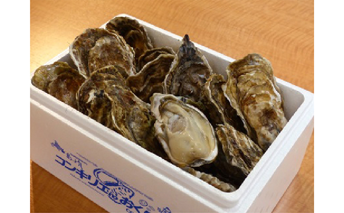 道の駅『コンキリエ』殻牡蠣食べ放題、牡蠣剥き体験セットお土産付 お食事券 チケット 体験チケット 魚介類 カキ 