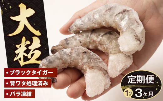 【定期便3ヶ月】至福の大粒むきえび　背ワタ処理済 1kg　ブラックタイガー 冷凍 ムキエビ  大型 海老
