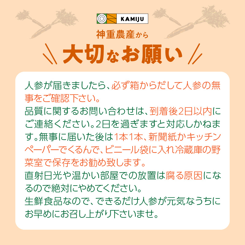 愛知県碧南市のふるさと納税 ＜フジテレビ『どっちのふるさと？』で紹介されました！＞ 訳あり 冬期限定 にんじん マドンナキャロット 容量 5kg 先行予約 国産 甘い フルーツのような味わい お子様にもおすすめ 栄養 神重農産 野菜 愛知県 碧南市 送料無料 H105-145