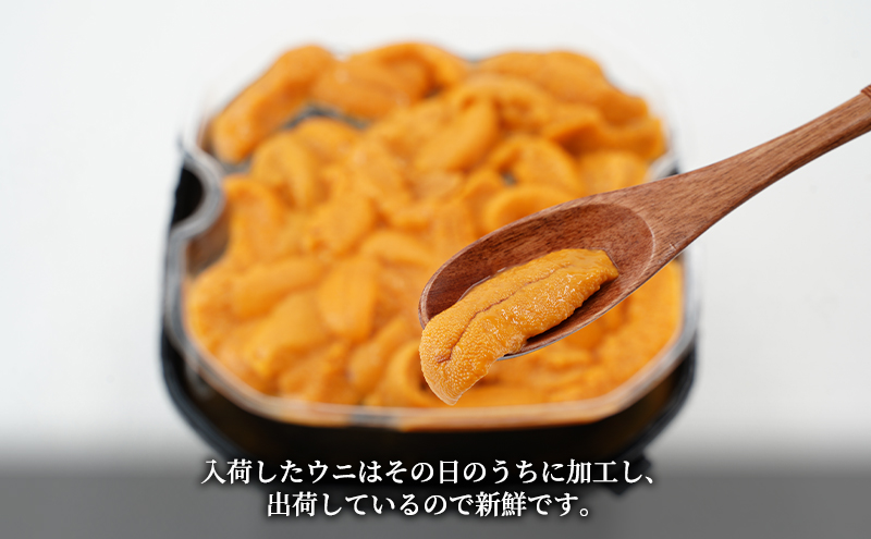 12/9限定品 青森県大間産 無添加ウニ 100g入×4パックセット 北海道産 バフンウニ 塩水パック 100g×1 雲丹 ウニ うに 新鮮
