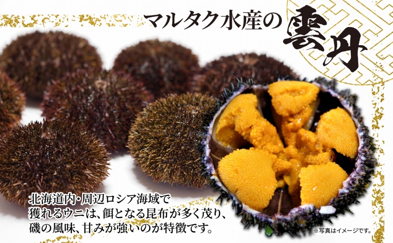 ロシア産 バフンウニ 塩水パック 100g×1 雲丹 ウニ うに 新鮮