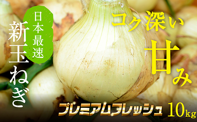 静岡県浜松市のふるさと納税 浜松篠原産新玉ねぎプレミアムフレッシュ10キロ【無選別品】 野菜 たまねぎ タマネギ 10kg
