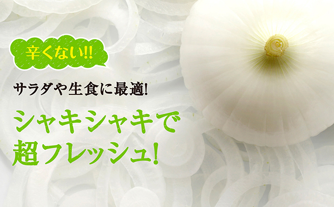 静岡県浜松市のふるさと納税 浜松篠原産【葉付新白玉ねぎ】プレミアムホワイト20玉【A級品L玉】 野菜 たまねぎ タマネギ