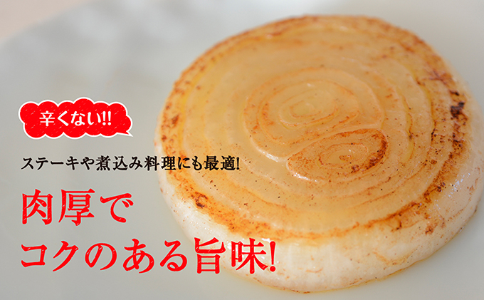 静岡県浜松市のふるさと納税 浜松篠原産新玉ねぎプレミアムフレッシュ10キロ【無選別品】 野菜 たまねぎ タマネギ 10kg