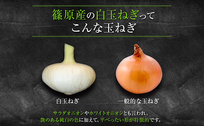浜松篠原産【葉付新白玉ねぎ】プレミアムホワイト30玉【A級品L玉
