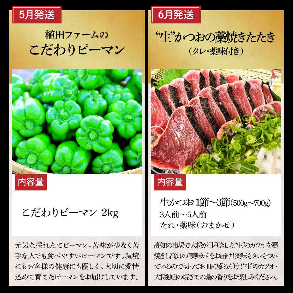 土佐市まるごとセット 全12回 トイレットペーパー 藁焼き うつぼ 生かつお 鰹 たたき 土佐文旦 メロン しんちゃんトマト ピーマン アイス くずバー ネギトロ かつおめし 日本酒 定期便