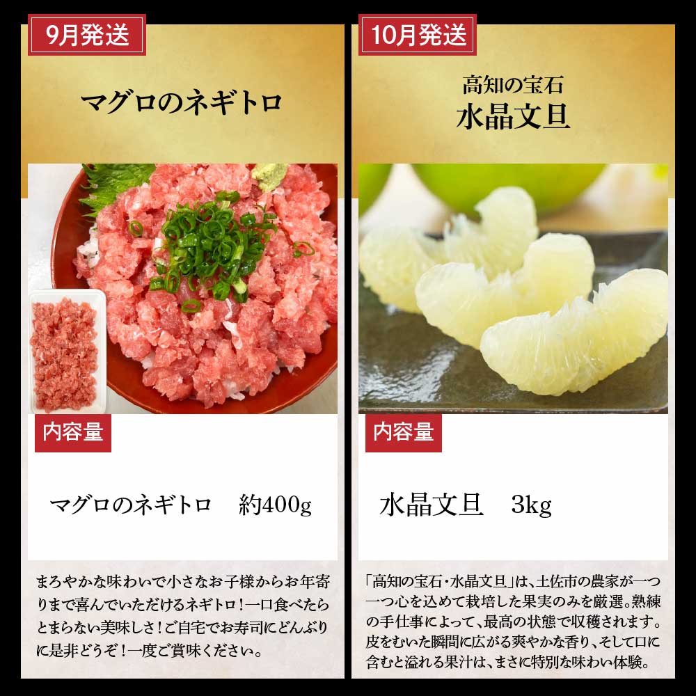 土佐市まるごとセット 全12回 トイレットペーパー 藁焼き うつぼ 生かつお 鰹 たたき 土佐文旦 メロン しんちゃんトマト ピーマン アイス くずバー ネギトロ かつおめし 日本酒 定期便