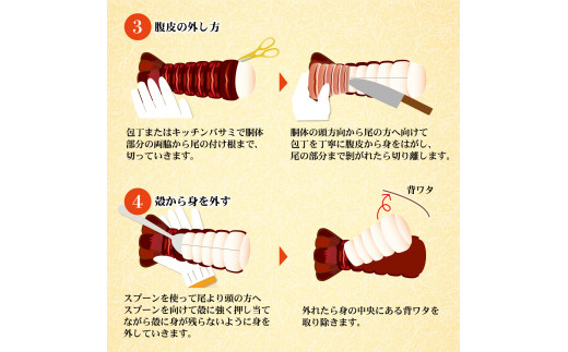 3月直送便 土佐獲れ 活伊勢海老 約700g（２尾～４尾） 