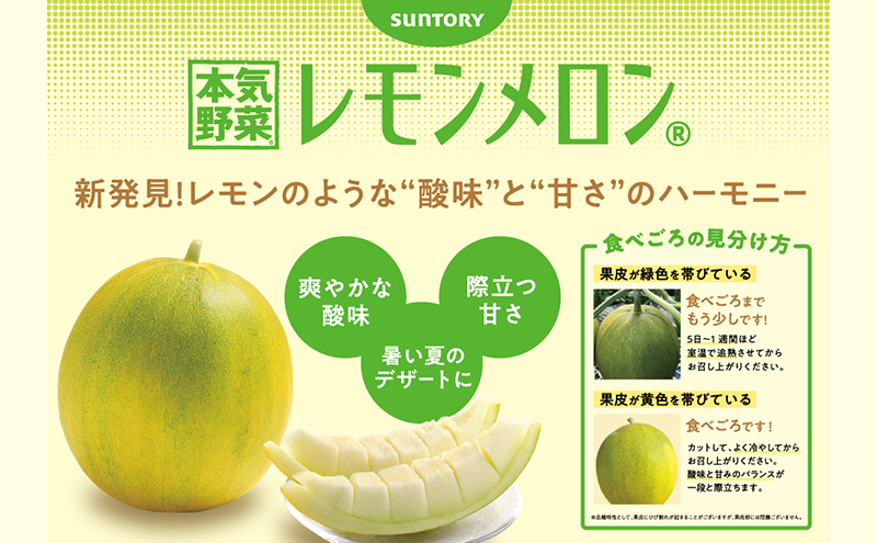 【希少！数量限定先行予約 2026年発送】 レモンメロン Lサイズ 1玉 北海道 富良野産 レモン メロン 新品種 富良野市 ふらの お中元 ギフト 水戸青果 送料無料