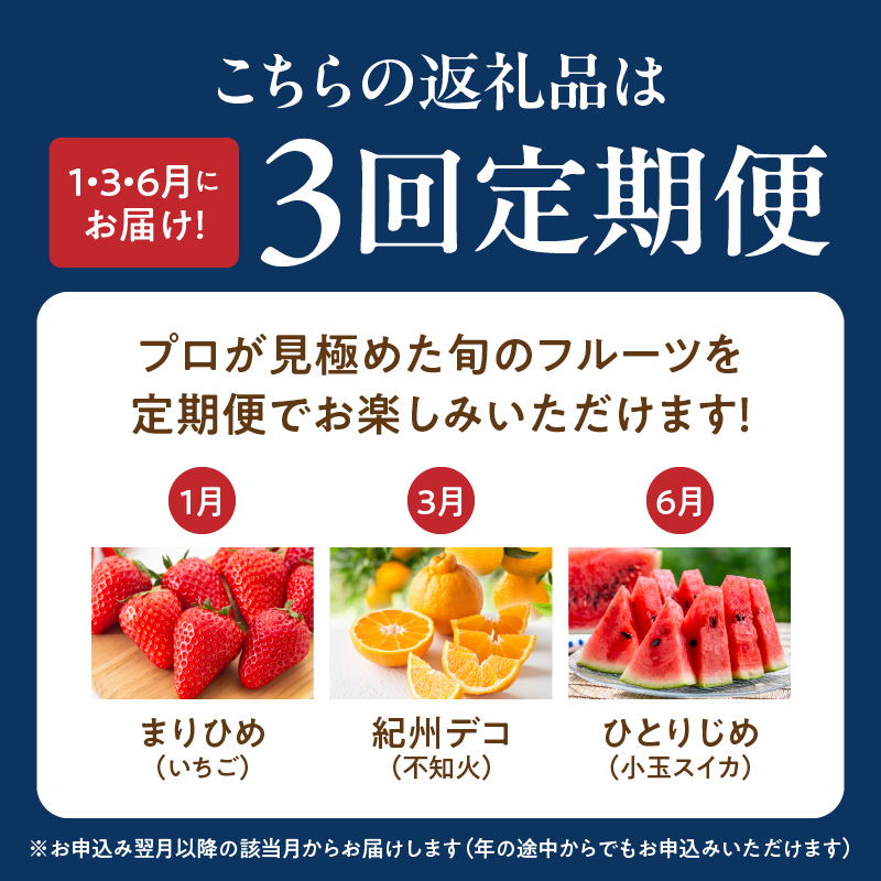 G60-T82_【定期便　全3回】魚鶴商店　旬のフルーツ定期便