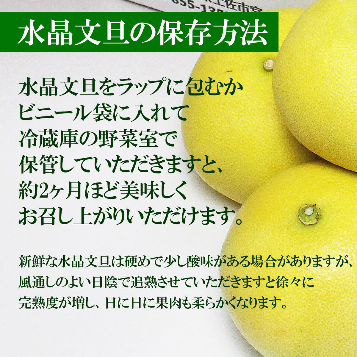 高知県産水晶文旦特選ご贈答用中玉6個入り 