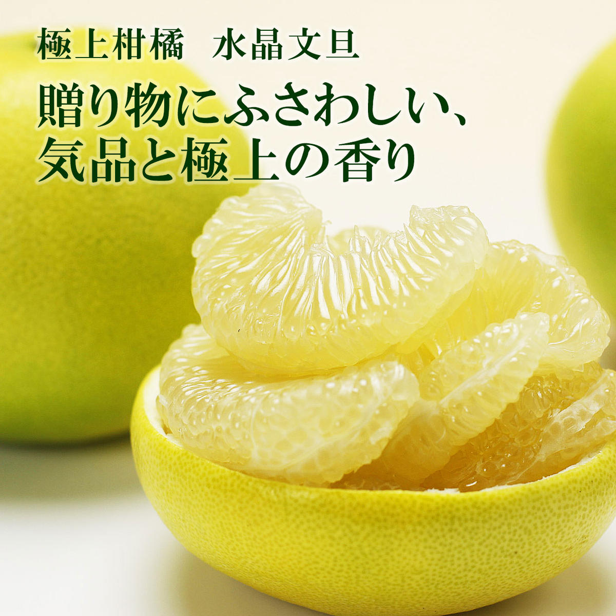 高知県産水晶文旦特選ご贈答用中玉6個入り 