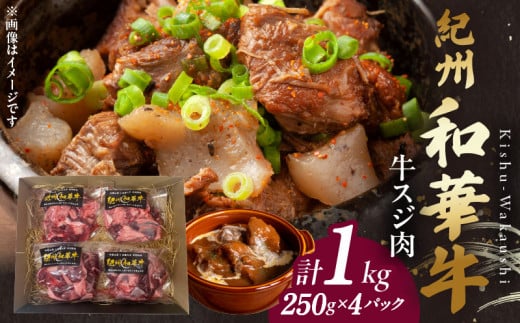 BN6051_【和歌山の新ブランド黒毛和牛】紀州和華牛の牛スジ肉　1kg（250g×4パック）
