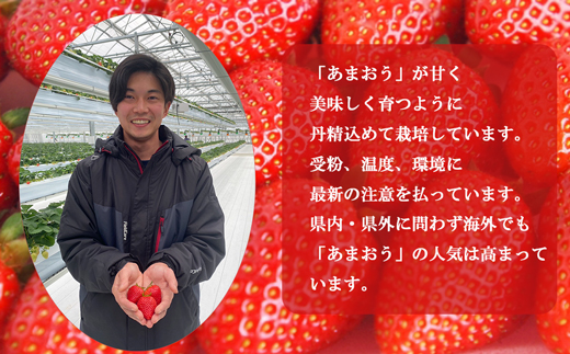 福岡県福津市のふるさと納税 【2026年3月より順次発送】福津産『空飛ぶあまおう』約180g×6パック【スカイフローラファーム】[G0151]