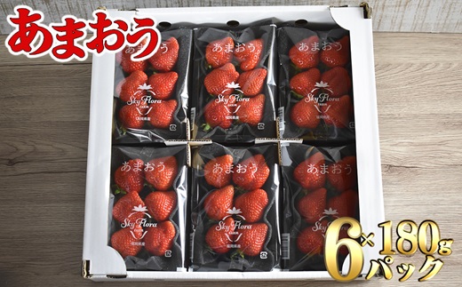 福岡県福津市のふるさと納税 【2026年3月より順次発送】福津産『空飛ぶあまおう』約180g×6パック【スカイフローラファーム】[G0151]