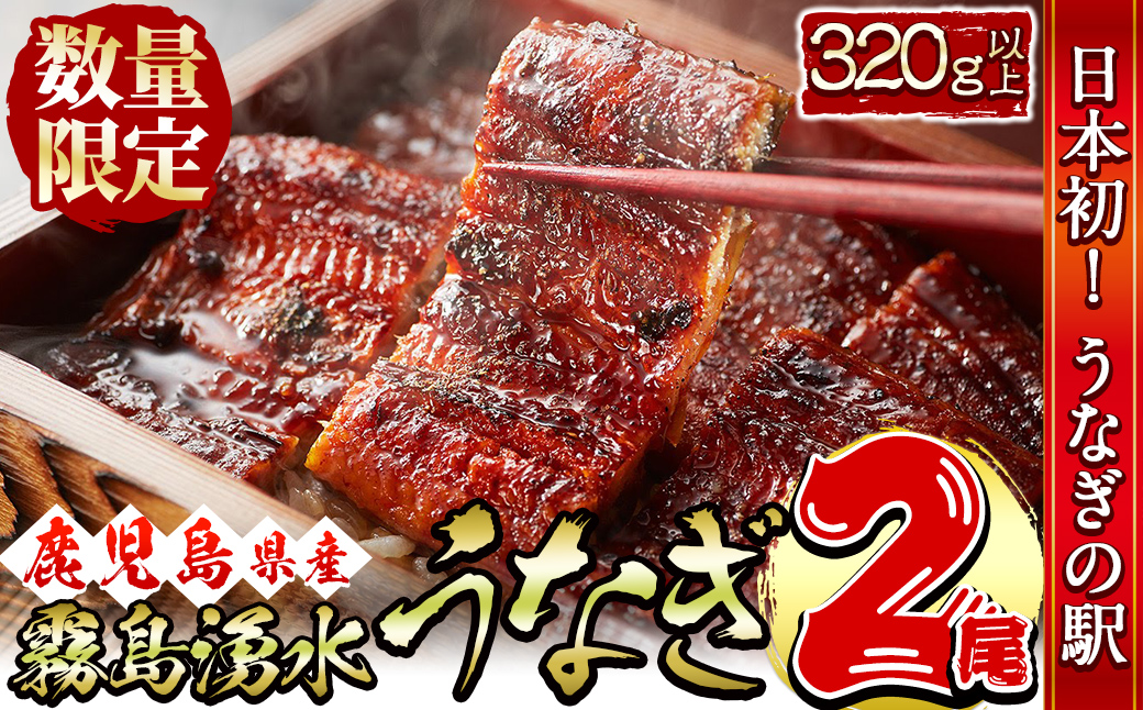 【志布志市人気No.1お礼の品】霧島湧水鰻