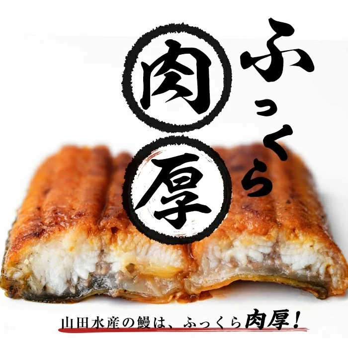 鹿児島県志布志市のふるさと納税 【志布志市人気No.1お礼の品】霧島湧水鰻の蒲焼き 140g以上×2尾＜計280g以上＞ a1-157