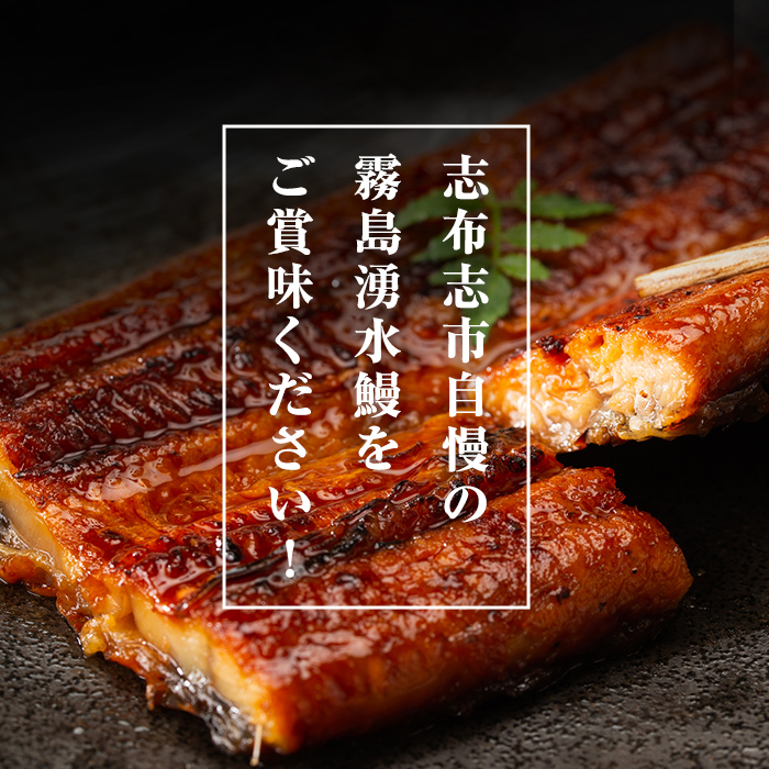 鹿児島県志布志市のふるさと納税 【志布志市人気No.1お礼の品】霧島湧水鰻の蒲焼き 140g以上×2尾＜計280g以上＞ a1-157