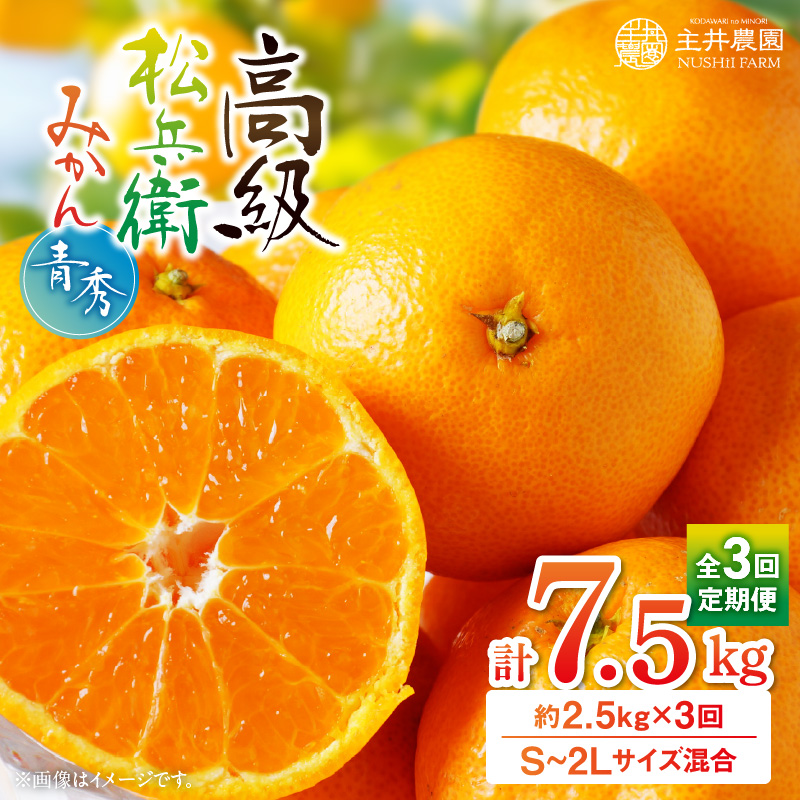 BL6113n_【産地直送】和歌山県産 八朔 4kg (M～3Lサイズ)【はっさく
