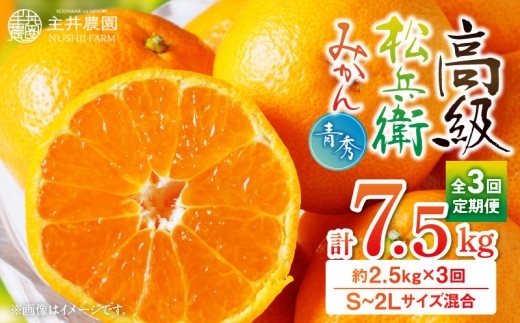 ZE6144_八朔(はっさく)苗木2年生2本セット | 和歌山県湯浅町