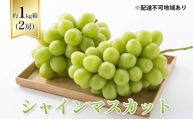 ぶどう10枚 シャインマスカット ぶどう 2房 山梨産 約1〜1.2kg 化粧箱