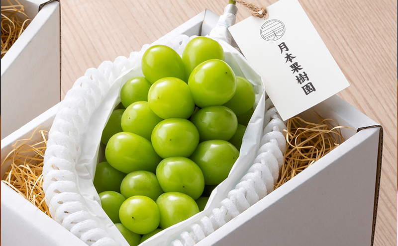 【2026年先行予約】 ぶどう 岡山県産 シャインマスカット  1房箱（約800g） 《2026年10月中旬-11月下旬頃出荷》 葡萄 ブドウフルーツ 果物 スイーツ 数量限定 期間限定 岡山 里庄町 ブドウ ぶどう 葡萄