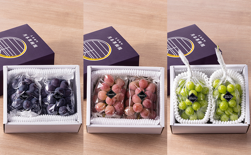 【定期便】【2026年先行予約】 ぶどう 岡山県産 ニューピオーネ ・ クイーンニーナ ・ シャインマスカット 1kg箱（各2～3房） 定期便 3回 《2026年８月下旬-10月中旬頃出荷》 葡萄 ブドウ フルーツ 果物